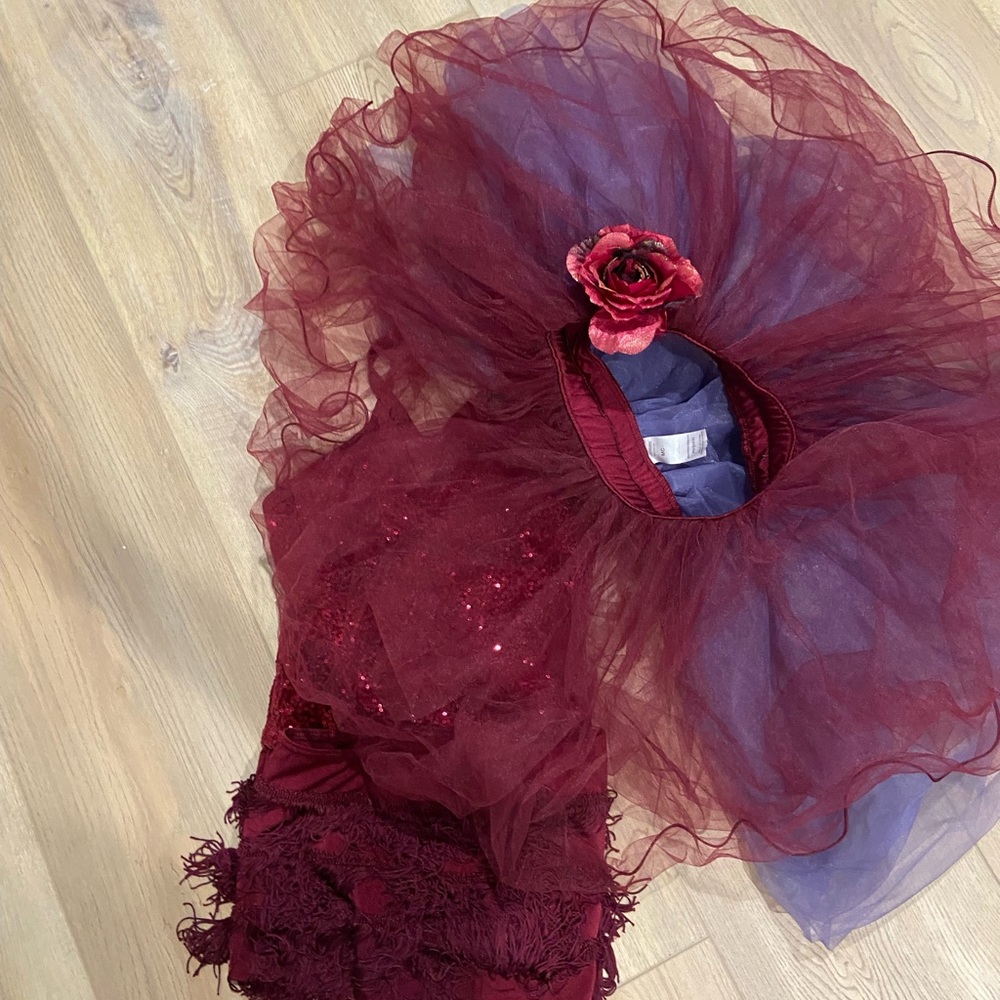 Beautiful burgundy jazz/ballet costume